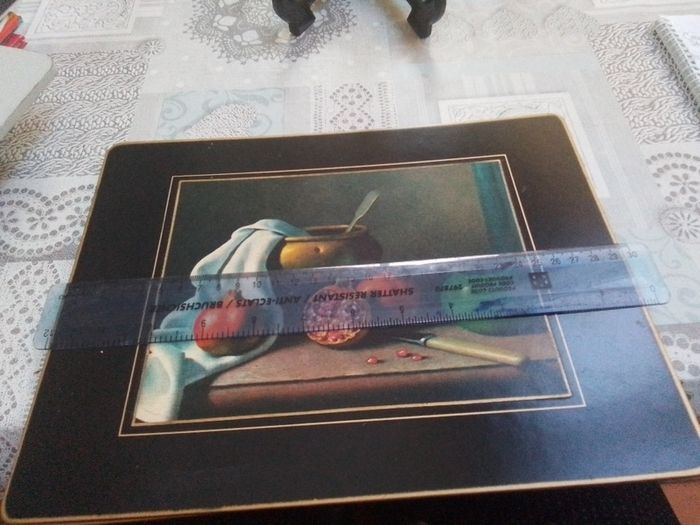 Set of Place Mats with Bird Display