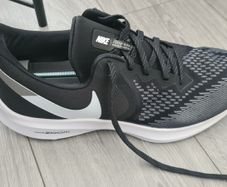Trainers