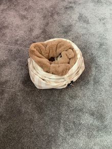 Cat tunnel