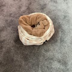 Cat tunnel