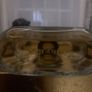 Chanel Image 3