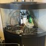 fish Tank juwel 180lt tank with stand Image 2