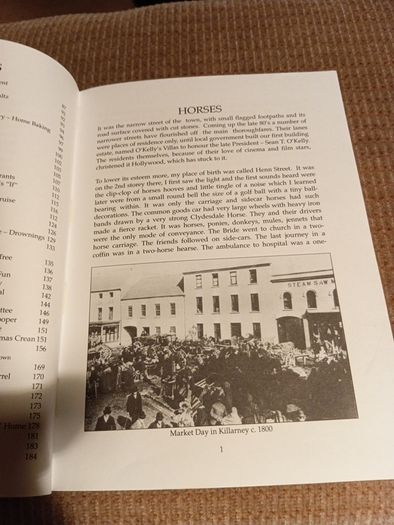 1996 Killarney top of towns. Recollections of a Lifetime. Tim McCarthy. Signed. Ireland. Tradition.