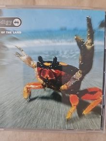 Prodigy - The Fat Of Land.