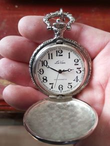 Le van antimagnet pocket watch 1920s
