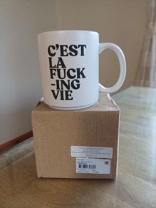 BNIB Novelty Mug