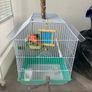 Bird cages 2 Image 2