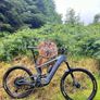 Santa Cruz heckler emtb swap for car or motorbike Image 4