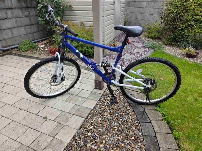 Adult Bike