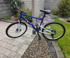 Adult Bike