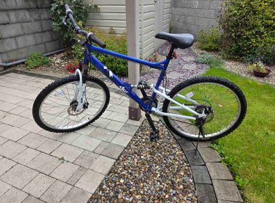 Adult Bike