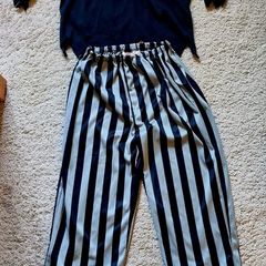 Fancy Dress Costume