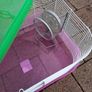 Hamster Cage Image 4