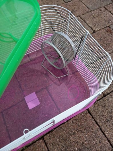 Hamster Cage