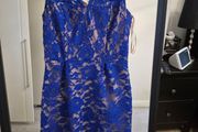 Dress Midi