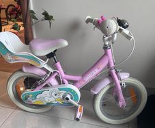 Verve unicorn bike