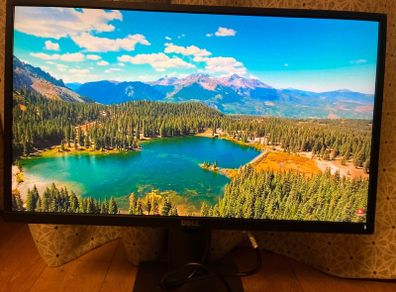 Dell 24" P2417h Full Hd 1080p Led Ips Led Monitor Hdm, Displayport, Vga