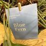 Blue Fern Image 2