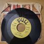 I Cugini Di Campagna Anima Mia 7 inch 1973 Pull QSP 1004 Italian Pressing Image 2