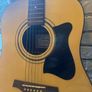 Ibanez Acoustic Guitar Image 6