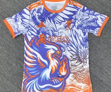Liverpool football jersey