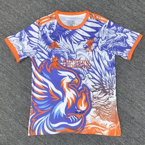 Liverpool football jersey