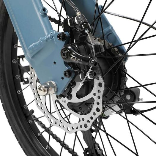 FIIDO D11 Electric Mountain Bike with mudguard and light