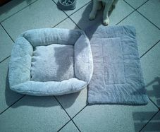 Small Dog bed and dog pad