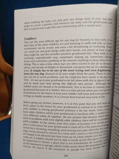 Understanding Greyhounds - Mary Fox