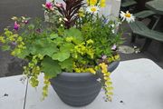 XL flower pot