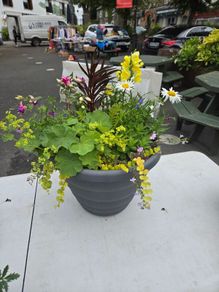XL flower pot