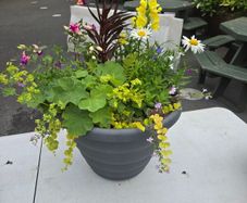 XL flower pot