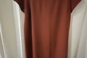 Rust Tunic Dress