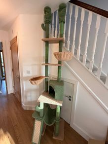 Free: Floor-to-Ceiling Cactus Cat Tree, Collection Only