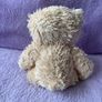 Cream Teddy Bear Image 2