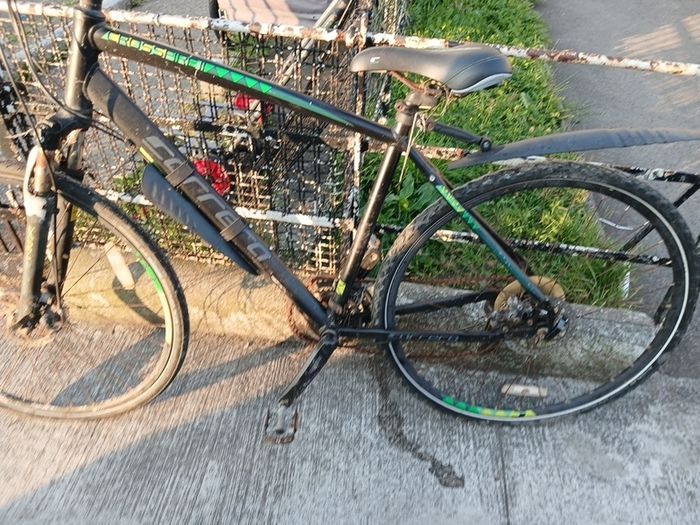 carrerra bike