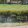 nikon field scope EDIII telescope spotting scope Image 4