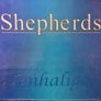 Shepherds door handle 5 sets Image 3