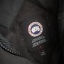 canada goose Image 4