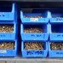 Nuts-bolts-brass-stainless Image 4