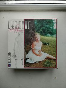 1000 piece  jigsaw