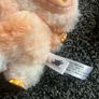 teddies Image 2