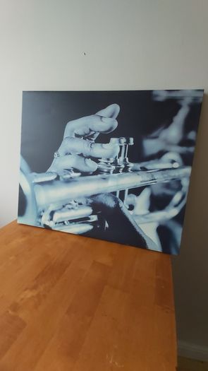 Canvas picture
