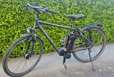 ebike
