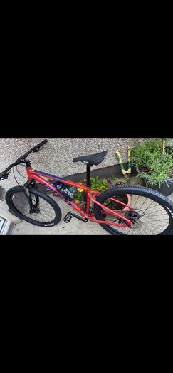 Giant talon bike