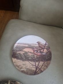 collectable plates