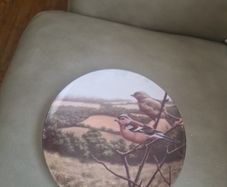 collectable plates