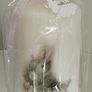 Handmade Beautiful Bunnies egg, candle and jar Image 5