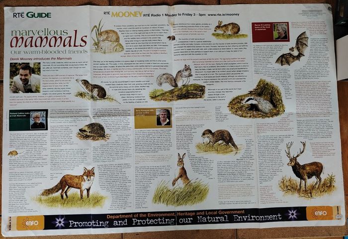 Marvellous Mammals (Mooney Goes Wild Series)