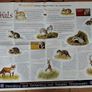 Marvellous Mammals (Mooney Goes Wild Series) Image 3